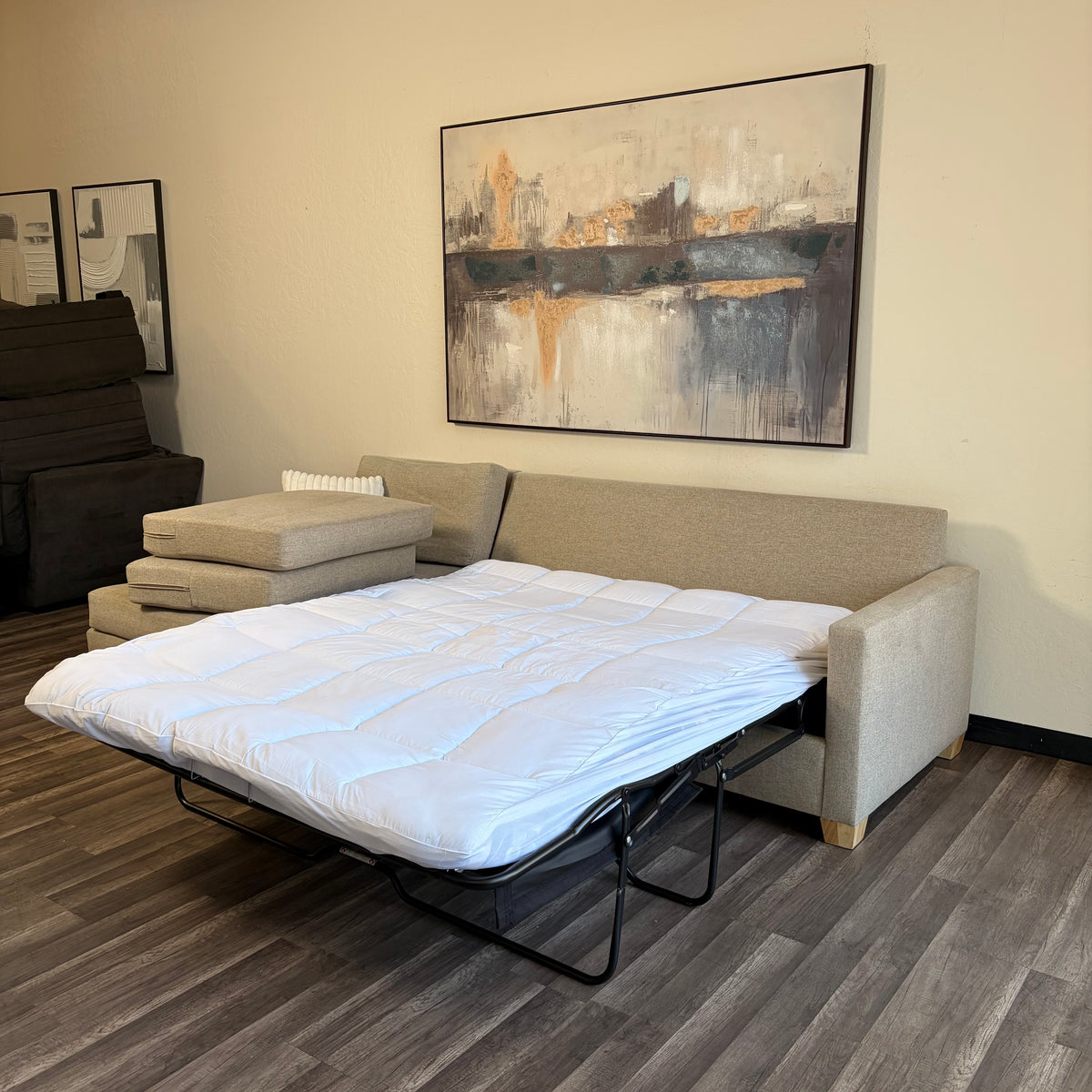 Sectional Couch with Sofa Bed Pullout