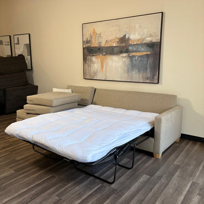 Sectional Couch with Sofa Bed Pullout