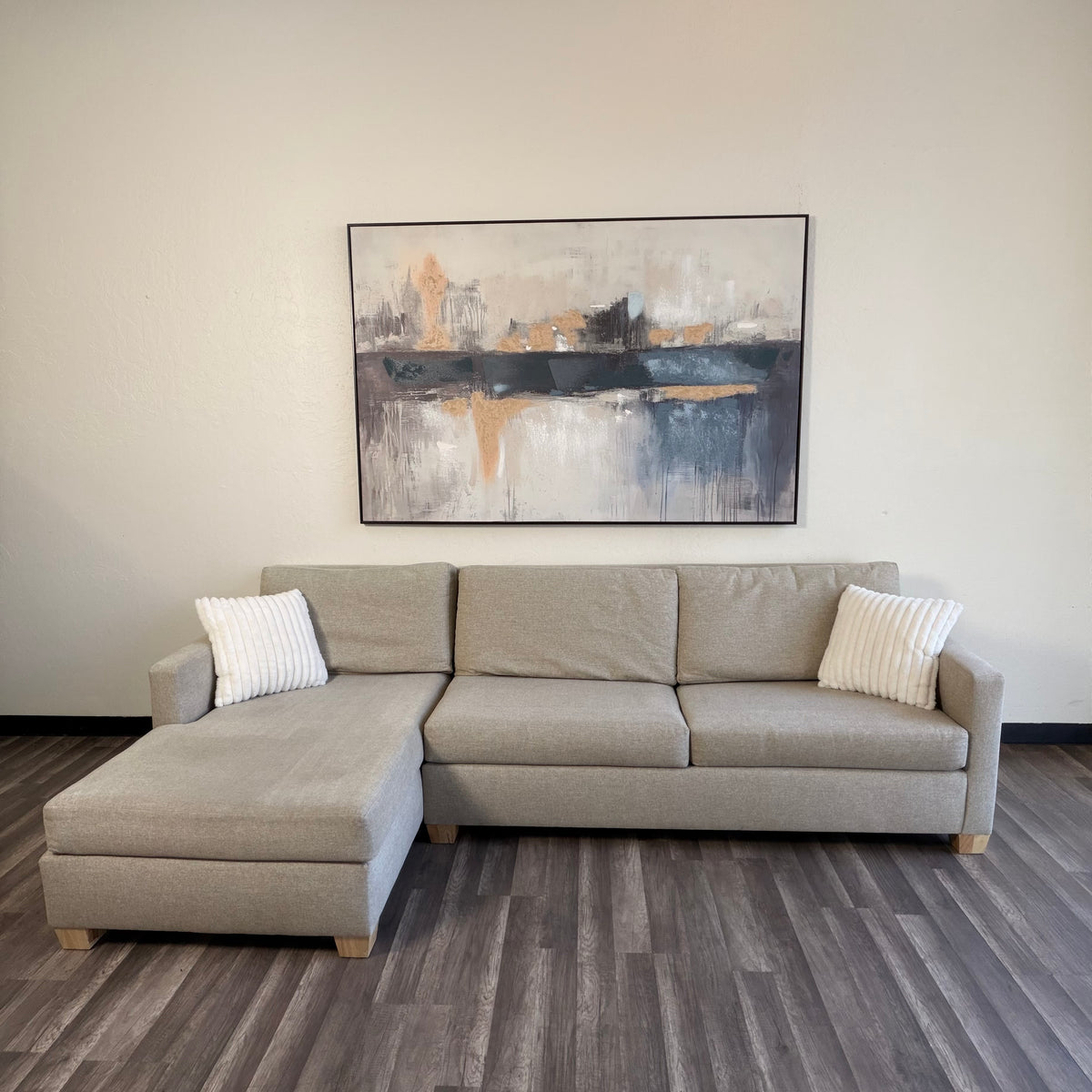 Sectional Couch with Sofa Bed Pullout