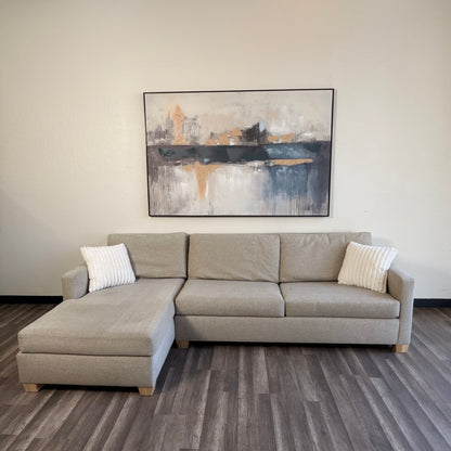 Sectional Couch with Sofa Bed Pullout