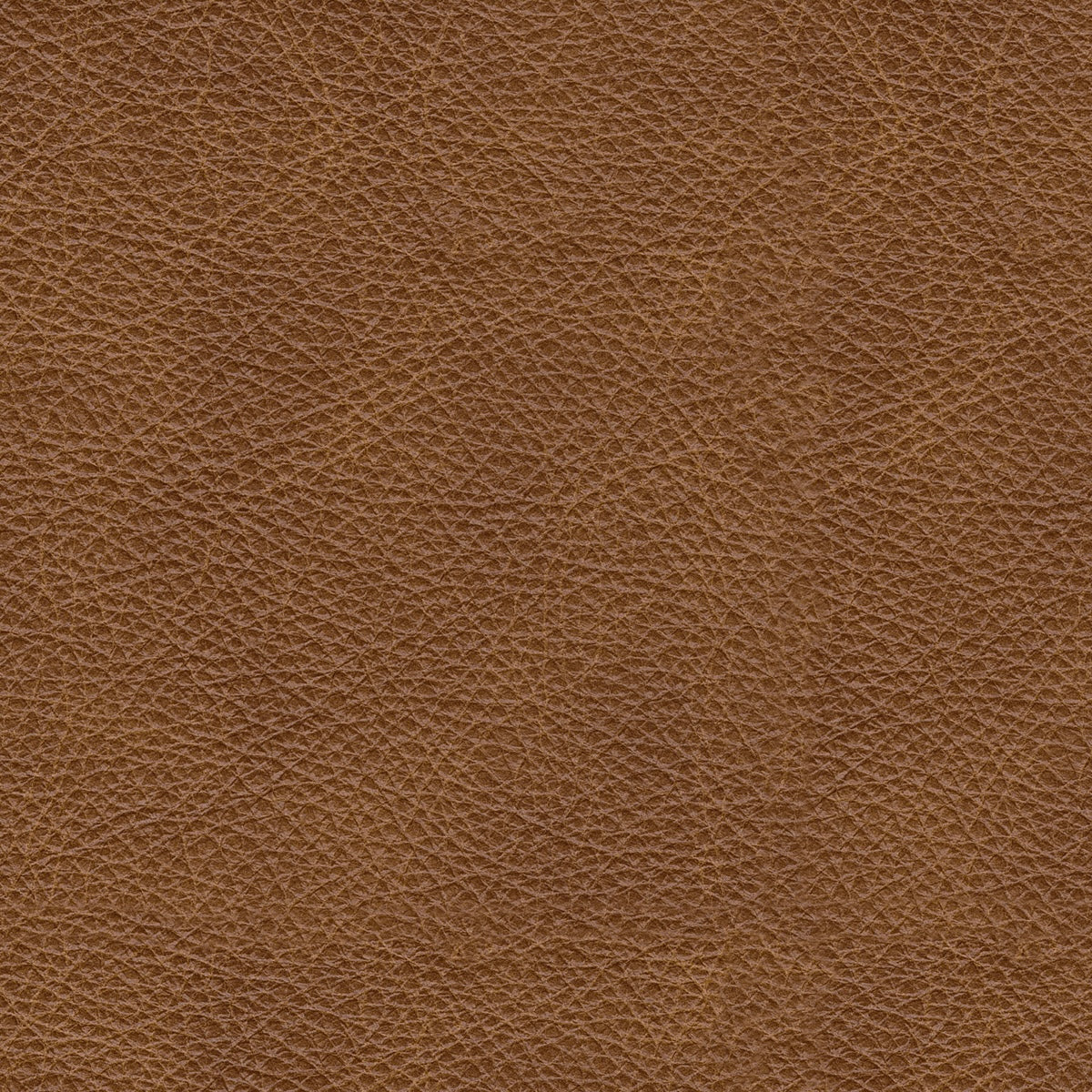 Belvedere 2-Piece Leather Modular Loveseat
