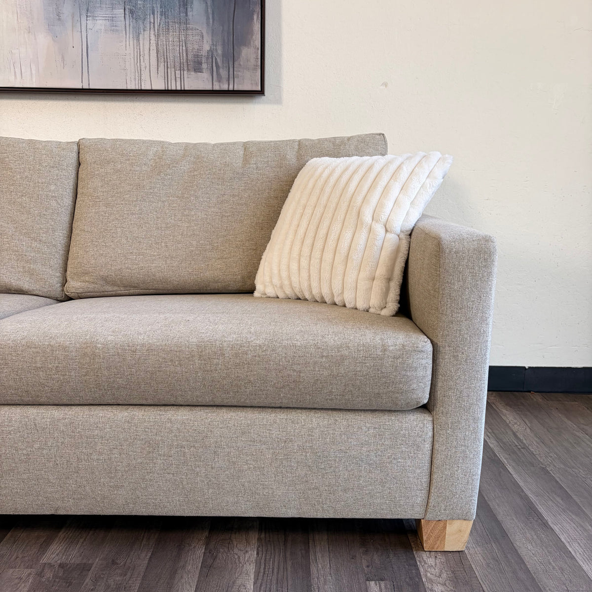Sectional Couch with Sofa Bed Pullout