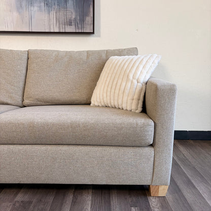 Sectional Couch with Sofa Bed Pullout