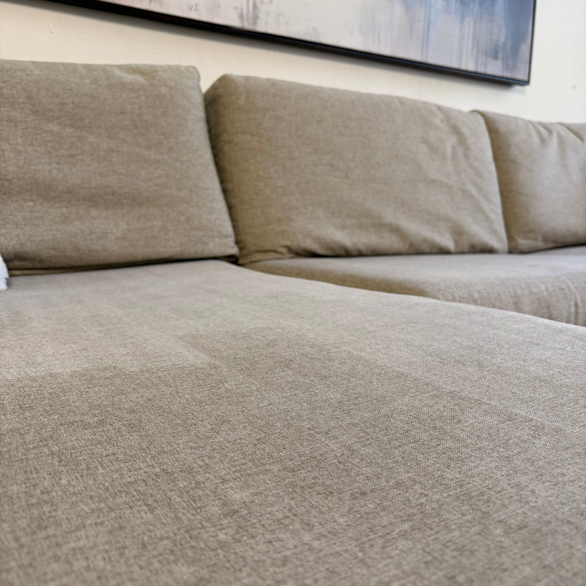 Sectional Couch with Sofa Bed Pullout