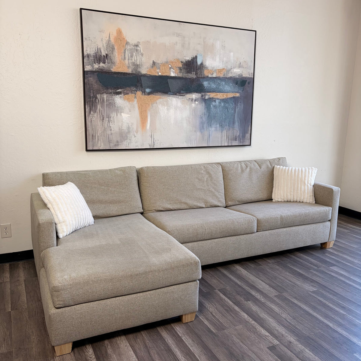 Sectional Couch with Sofa Bed Pullout